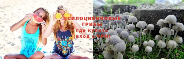 гидропоника Верея