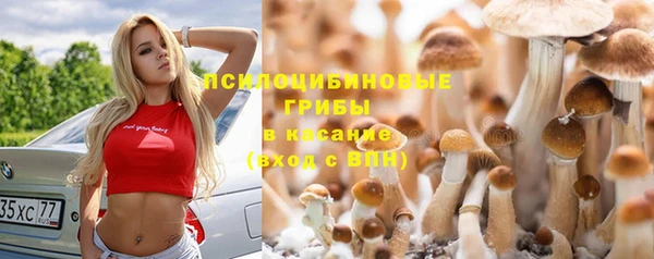 сатива Вязьма