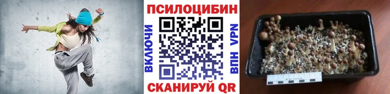 Галлюциногенные грибы мухоморы Купить Балабаново
